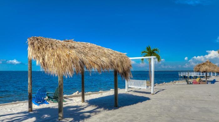 410-Gorgeous Views, Waterfront, Wifi, Pool And Close To Bucs Stadium Tampa Eksteriør bilde