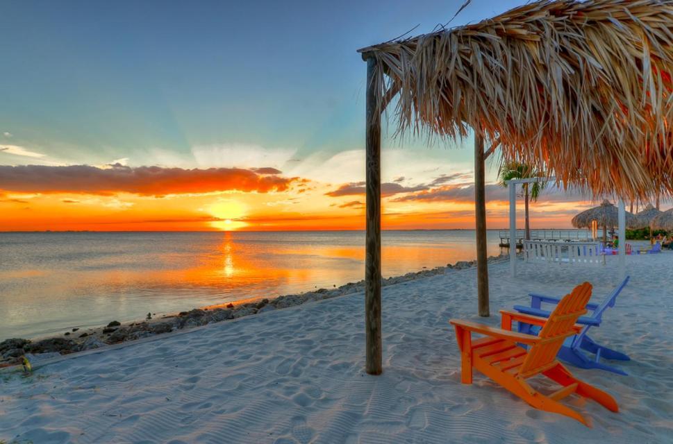 410-Gorgeous Views, Waterfront, Wifi, Pool And Close To Bucs Stadium Tampa Eksteriør bilde